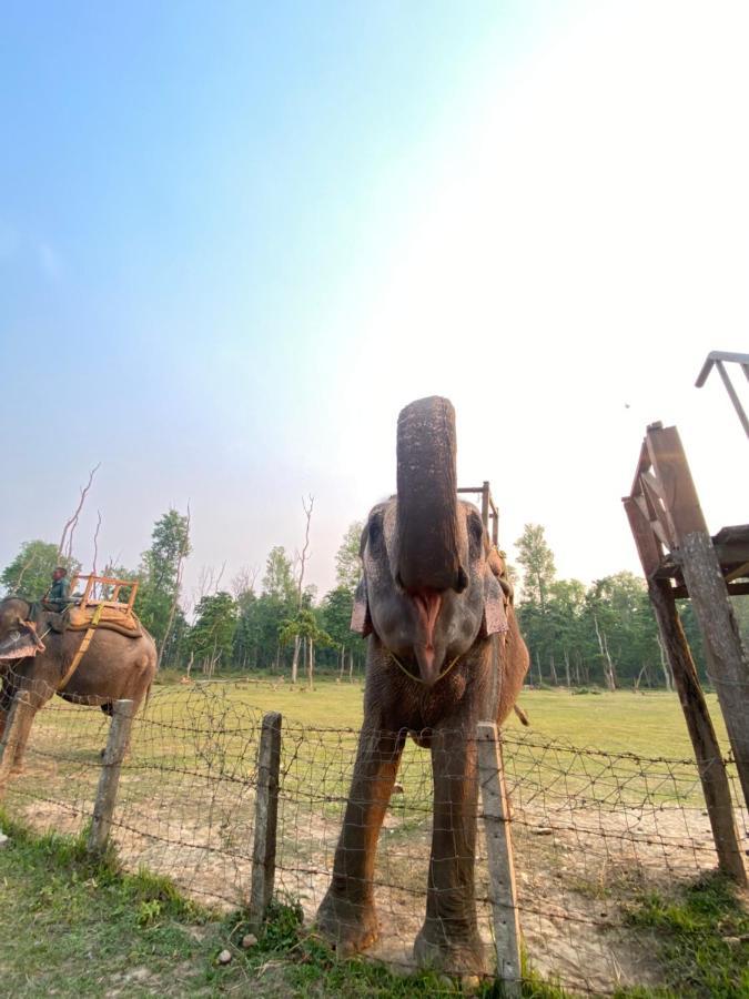 Hotel Shiva'S Dream Sauraha Exterior foto